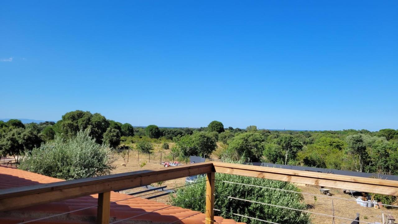 Gite Du Soleil Maison Lumineuse Avec Terrasse Solarium Parking Prive Sorede Bagian luar foto